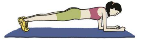 Ilustração de uma mulher em posição de prancha. Ela está com o corpo deitado próximo ao chão, com a barriga voltada para baixo, mantendo as pernas e a coluna alinhadas na horizontal, apoiando o corpo nas pontas dos pés e nos antebraços. Os cotovelos estão flexionados em um ângulo reto, de modo que ficam  alinhados com os ombros.