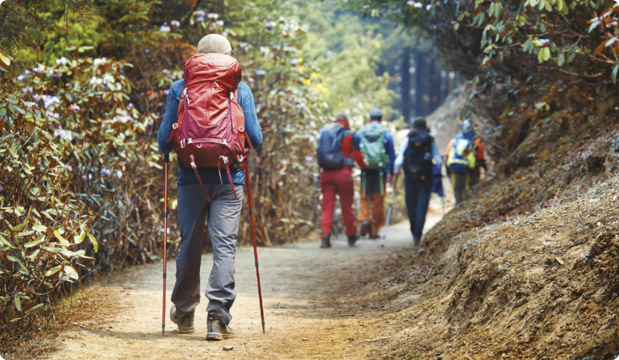 Fotografia de um grupo de pessoas caminhando em uma trilha em uma paisagem natural, carregando mochilas nas costas e usando bastões de caminhada nas duas mãos, semelhantes a bengalas longas.