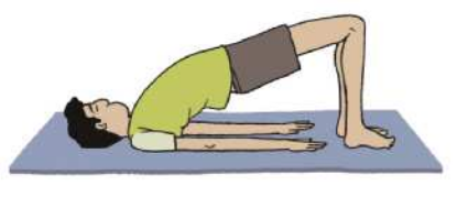Ilustração de um homem deitado sobre um colchonete estendido no chão, com a barriga voltada para cima. Ele ergue o quadril para o alto, apoiando-se sobre os pés paralelos no colchonete, com os joelhos flexionados; e estende os braços sobre o colchonete ao lado do corpo, com a cabeça, os ombros e a cervical também apoiados no colchonete.
