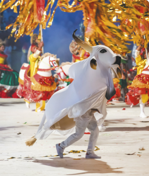 Fotografia de uma pessoa vestida com uma fantasia de touro branco, em meio a pessoas fantasiadas com bonecos de cavalos, como se estivessem montadas sobre ele.