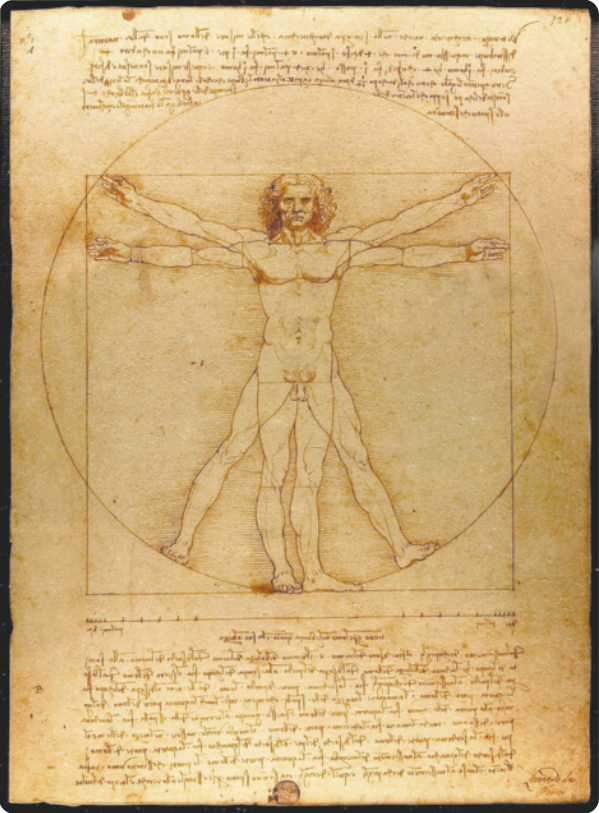 Desenho de um homem nu em pé, com os braços abertos ao lado do corpo. O desenho mostra os membros do homem simultaneamente em duas posições: em uma delas, ele está inscrito em um círculo, com as pernas estendidas e afastadas, e os braços abertos e estendidos em diagonal, à altura da cabeça; na outra, ele está inscrito em um quadrado, com as pernas estendidas e unidas, e os braços estendidos para o lado, à altura dos ombros. O desenho é acompanhado de texto manuscrito.