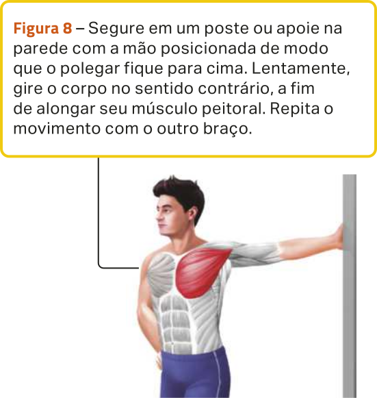 Figura 8. Ilustração de um homem em pé segurando um poste com o braço esquerdo estendido lateralmente, à altura dos ombros, com a outra mão na cintura, girando o tronco para a direita enquanto segura o poste. A ilustração destaca o alongamento do músculo peitoral esquerdo do homem. O texto diz: 'Segure em um poste ou apoie na parede com a mão posicionada de modo que o polegar fique para cima. Lentamente, gire o corpo no sentido contrário, a fim de alongar seu músculo peitoral. Repita o movimento com o outro braço.'