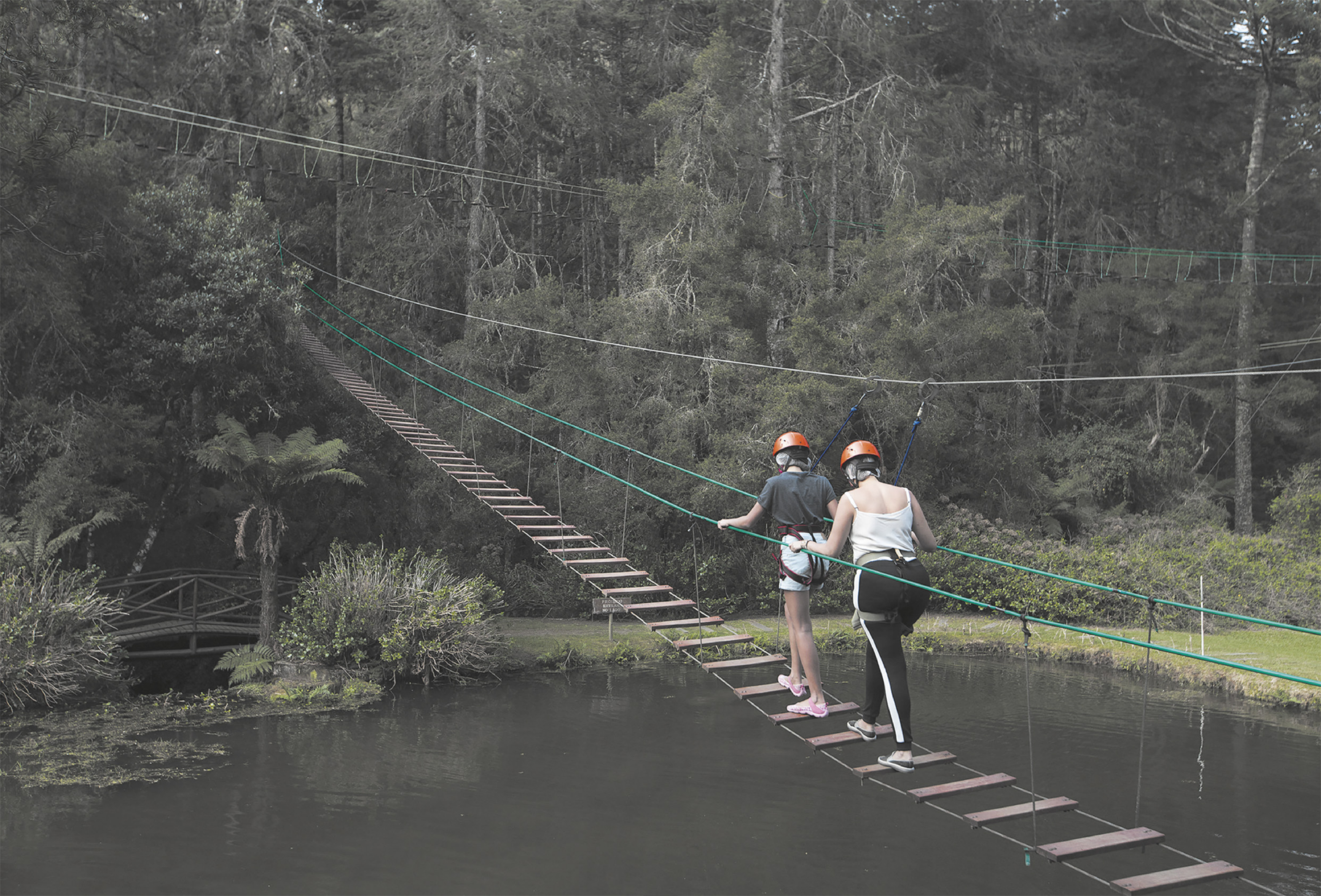 Fotografia de duas mulheres caminhando em uma ponte passando no alto, sobre um lago, erguida com cordas e degraus feitos com tábuas de madeira. Elas usam capacetes e equipamentos de segurança com cordas amarradas ao quadril, e caminham cuidadosamente na ponte, segurando-se em cordas, em direção a árvores altas em um bosque.