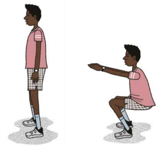 Ilustração de um homem realizando um agachamento, em duas etapas. Elas são as seguintes: 1. O homem está em pé com os pés paralelos e a coluna ereta, com os braços estendidos ao lado da cintura. 2. O homem se agacha, flexionando os joelhos, mantendo a coluna alinhada, levemente inclinada para a frente, com os braços estendidos à frente, à altura dos ombros.