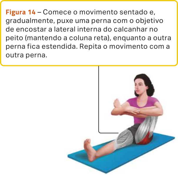 Figura 14. Ilustração de uma mulher sentada sobre um colchonete no chão, com a perna direita estendida à frente, segurando a perna esquerda flexionada junto ao peito, com os dois braços envolvendo a perna entre o pé e o joelho. A ilustração destaca o alongamento dos músculos do glúteo esquerdo.  O texto diz: 'Comece o movimento sentado e, gradualmente, puxe uma perna com o objetivo de encostar a lateral interna do calcanhar no peito (mantendo a coluna reta), enquanto a outra perna fica estendida. Repita o movimento com a outra perna.'