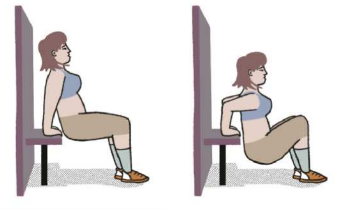 Ilustração de uma mulher realizando um exercício de tríceps, em duas etapas. Elas são as seguintes: 1. A mulher está sentada no ar, apoiando-se com as mãos em um banco atrás do quadril, com os braços estendidos, a coluna ereta e os joelhos flexionados. 2. Mantendo-se na mesma posição, a mulher desce o quadril em direção ao chão, flexionando os cotovelos atrás do tronco.