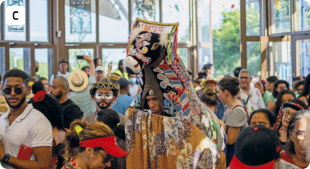 C. Fotografia de várias pessoas em clima de celebração e festa. No centro, destaca-se um homem que está com uma fantasia tradicional de boi, decorada com tecidos bordados e coloridos, típica de festas como o Bumba Meu Boi. Ao redor, há várias pessoas, algumas com pintura facial e acessórios como viseiras, chapéus e óculos de sol. Ao fundo, grandes janelas iluminam o ambiente.
