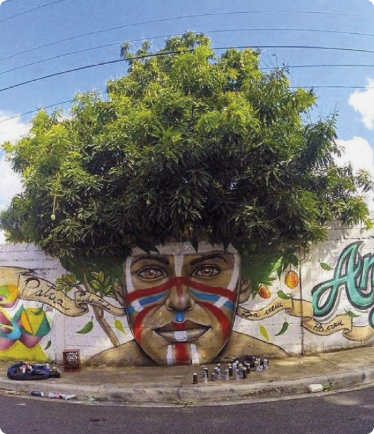 Fotografia de um grafiti em um muro. O artista se aproveitou de uma árvore frondosa atrás do muro, pintando um rosto, de forma que as folhas das árvores parecem os cabelos da figura, no estilo 'black power'. O rosto é negro e está pintado com listras coloridas que cobram nariz e bochechas, boca e queixo, além de uma faixa que cobre a testa e as laterais do rosto. De ambos os lados da figura, há mais grafites representando frutos da árvore, e uma grande faixa com algo escrito. Na calçada à frente da pintura, há diversas latas de tinta em 'spray'.