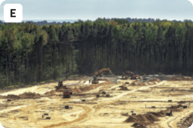 E. Fotografia de uma plantação de eucaliptos sendo derrubada por máquinas. Ao fundo, ainda há vegetação, enquanto na frente há um terreno descampado de areia com diversos tocos de árvores e máquinas.