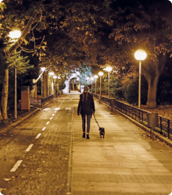 Fotografia de uma mulher caminhando com seu cachorro em um parque à noite. A mulher está de costas, com o cabelo preso em duas tranças e usando um casaco, calça e botas. O cachorro é de pequeno porte e está preso pela coleira que a mulher segura. O parque possui um caminho de blocos de pedra, muitos postes de luz, árvores e lixeiras, além de uma grade baixa margeando o caminho. Ao fundo há uma passagem com formato de arco.