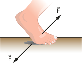 Ilustração de um pé tocando o chão. Do pé saem duas setas, uma subindo e e outra descendo. escrito em cada ponta das setas a letra F, Apontando para cima  e -F apontando para baixo. Representando foça de contato de ação e reação.