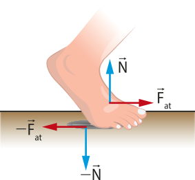 Representação de um pé tocando o chão. Abaixo do pé, setas 'menos Fat' horizontal, apontando para a esquerda e seta 'N' vertical, apontando para baixo .Acima do pé, as setas 'Fat' horizontal, apontando para a direita e a seta 'N' vertical, apontando para cima.