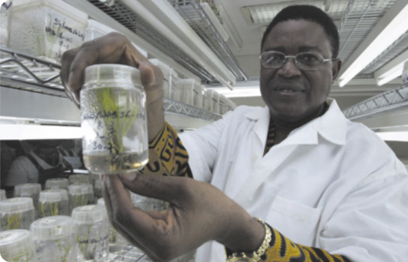 Fotografia do biólogo MONTY JONES. ele está em uma estufa de plantas, segurando um pote de vidro com uma planta dentro. Ele usa cabelo curto crespo, óculos e jaleco. A fundo aparecem outros potes de vidro enfileirados.
