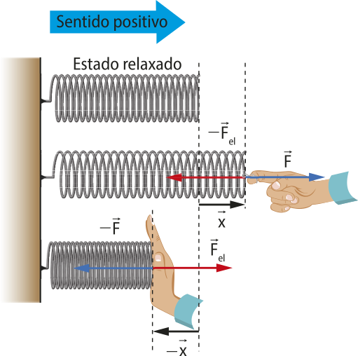 Representação de uma mola na posição horizontal, com a extremidade esquerda fixada, em três momentos. Momento 1:mola em estado relaxado. Momento 2: Uma mão de uma pessoa estica a mola, seta 'F' horizontal apontando para a direita, seta ' menos F e l' horizontal apontando para a esquerda, seta 'x' horizontal apontando para a direita. M3: Uma mão de uma pessoa comprime a mola, seta 'F' horizontal apontando para a direita e seta 'menos F e l' horizontal apontando para a esquerda e seta ' menos x' apontando para a esquerda.