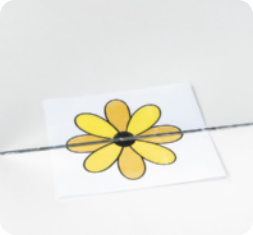 Fotografia de metade de uma flor, refletida no espelho. A flor tem várias pétalas e um pequeno miolo circular, o espelho reflete a metade da flor, formando uma imagem que parece inteira.