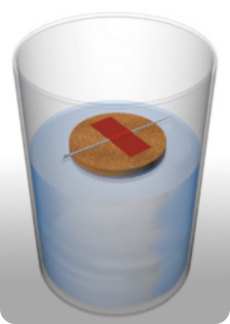 Ilustração de um copo transparente com água dentro. Na superfície da água, dentro do copo, um pedaço de cortiça circular, está boiando, com uma agulha fixada horizontalmente sobre a cortiça.