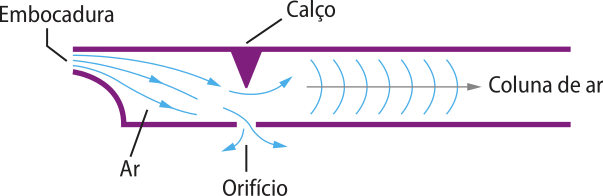 Representação de um tubo sonoro. Na imagem um tubo na posição horizontal, com uma abertura a esquerda, chamada embocadura. Dentro do tubo, um orifício na parte abaixo, e um calço acima e uma coluna de ar.