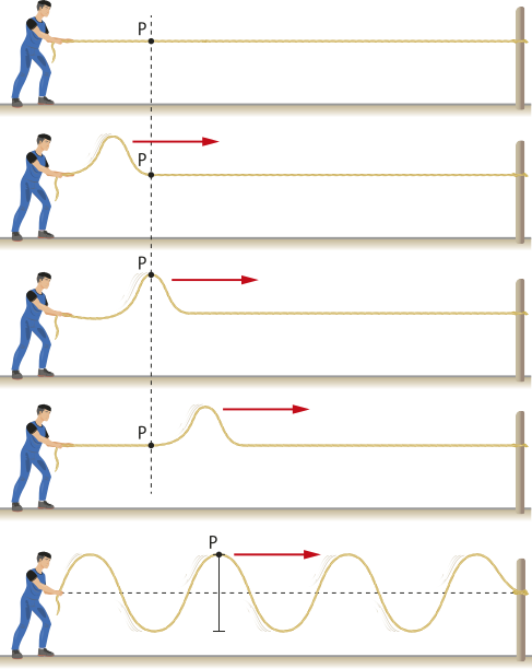 Representação de pulso e onda em cinco momentos. M1: Uma pessoa segura a extremidade de uma corda na posição horizontal, a corda está com o outra extremidade presa na parede. Um ponto 'P maiúsculo' está marcado, perto da extremidade que a pessoa segura, com linha tracejada perpendicular. M2:A pessoa segurando a corda faz um movimento com a corda, para cima, formando uma ondulação na corda, anterior ao ponto 'P maiúsculo'. M3:A pessoa faz um movimento com a corda, formando uma ondulação no ponto 'P maiúsculo'. M4: A pessoa segurando a corda, faz um movimento com a corda, formando uma ondulação após o ponto 'P maiúsculo'. M5: A pessoa segurando a corda faz um movimento com a corda, formando ondulações para cima e para baixo na corda, o ponto 'P maiúsculo' está em cima de uma ondulação. Em todos momentos a direção das ondulações é para a direita.