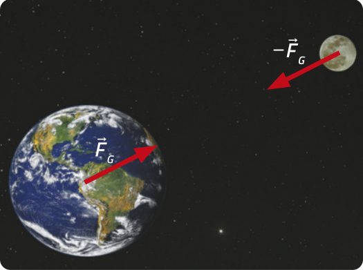 Representação do planeta Terra à esquerda, com a força 'F G', representada por um seta, saindo do centro do planeta em direção à Lua, à direita. Saindo do centro da Lua, há a força 'menos F G', apontando em direção à Terra.