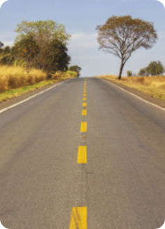 Fotografia de uma rodovia com vegetação nas laterais da pista. A imagem destaca as linhas tracejadas e contínuas, amarelas, que seguem por toda a extensão e no centro da pista.
