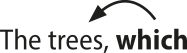 Imagem da expressão 'The trees, which'. A palavra 'which' está em destaque; há uma seta partindo dela e apontando para a palavra' trees'.