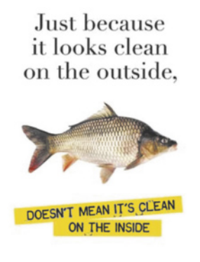 Cartaz com o texto: 'Just because it looks clean on the outside, doesn't mean it's clean on the inside'. Ao centro, há a fotografia de um peixe.