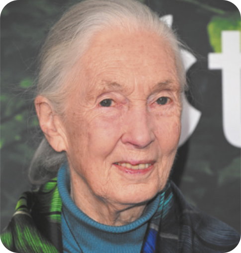 Fotografia de Jane Goodall. Ela tem os cabelos brancos presos para trás, usa blusa azul gola alta.