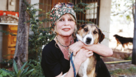 Fotografia de Brigitte Bardot. Mulher branca de cabelos claros, presos sob um lenço estampado. Ela sorri levemente enquanto segura um cachorro no colo. Ela usa uma blusa preta e um colar. Ao fundo, aparecem plantas e parte de uma construção.