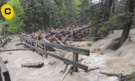 c. Fotografia de uma área inundada. A água está cobrindo a passagem de uma ponte em meio a uma floresta e apresenta correnteza forte. Diversos troncos e galhos de árvores, trazidos pela água, estão se acumulando na lateral da ponte.