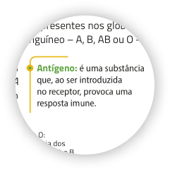 Reprodução da seção vocabulário.