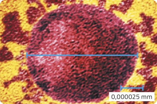 Imagem ampliada do vírus SARS-CoV-2. Seu formato é esférico com espículas ao redor, e seu diâmetro é de 0,000025 milímetros.