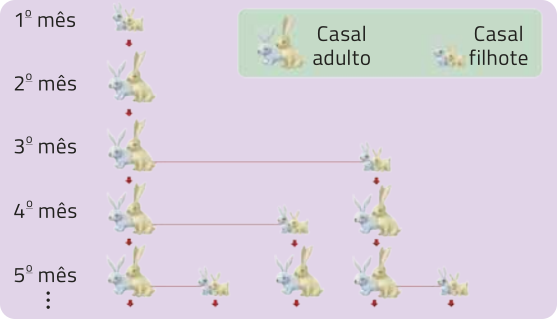 Imagem da seguinte sequência de coelhos adultos e filhotes: Primeiro mês: casal de filhotes. Segundo mês: casal de adultos. Terceiro mês: um casal de adultos e um casal de filhotes. Quarto mês: um casal de adultos, um casal de filhotes e um casal de adultos. Quinto mês: um casal de adultos, um casal de filhotes, um casal de adultos, um casal de adultos e um casal de filhotes.