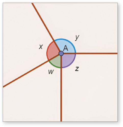 Imagem de 4 vértices, w, x, y e z, unidos em um ponto A. y é o maior, x e z têm tamanhos semelhantes e w é o menor.