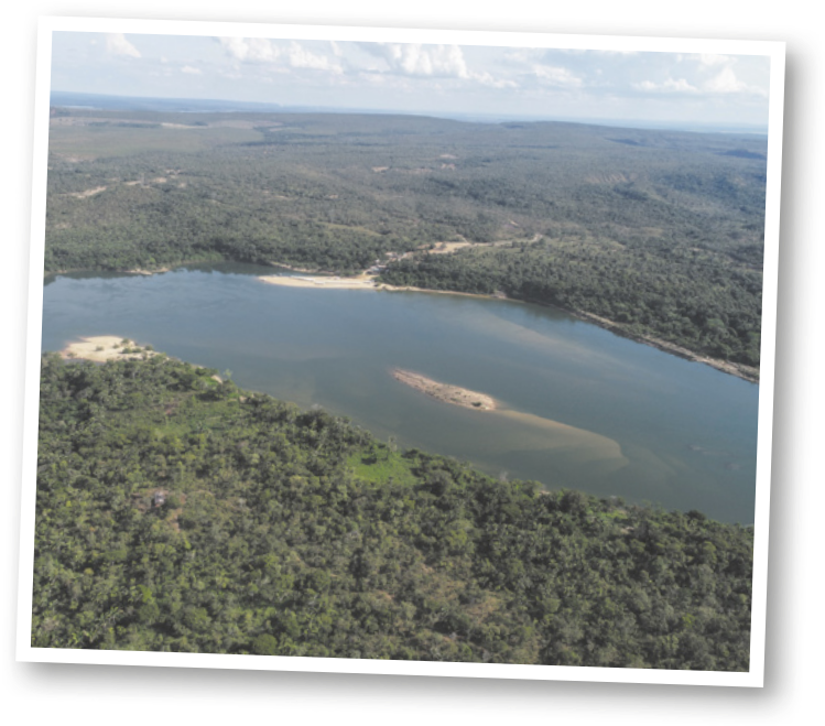 Fotografia com vista de cima de grande rio com vegetação densa ao redor.