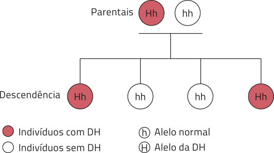Diagrama de herança autossômica. Os indivíduos com DH são representados por círculos vermelhos, e os indivíduos sem DH, por círculos brancos. H maiúsculo representa o alelo da DH, e h minúsculo representa o alelo normal. Na parte superior do diagrama, sob o título “Parentais”, há dois círculos: um vermelho, identificado com H maiúsculo h minúsculo, e um branco, identificado com h minúsculo h minúsculo. Abaixo desses dois círculos, há uma linha horizontal, da qual partem quatro linhas verticais que se conectam a quatro círculos dispostos lado a lado, representando a descendência. Dois desses círculos são vermelhos, identificados com H maiúsculo h minúsculo, e dois são brancos, identificados com h minúsculo h minúsculo.