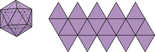 Imagem composta por duas partes. À esquerda, há um icosaedro: um sólido com vinte faces triangulares. À direita, uma figura plana composta por vinte triângulos equiláteros, organizados em três faixas horizontais: a faixa superior tem cinco triângulos com os vértices voltados para cima; a faixa inferior também tem cinco triângulos, com os vértices voltados para baixo; a faixa central tem dez triângulos, que compartilham arestas com as faixas superior e inferior e entre si, formando uma faixa de triângulos alternados com vértices para cima e para baixo.