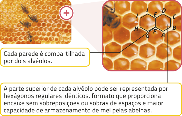 Imagem composta por duas fotografias de colmeias. À esquerda, há uma imagem de favos de mel com quatro abelhas sobre eles. À direita, uma ampliação de um trecho da imagem mostra detalhes dos alvéolos, com células hexagonais visíveis. Dois hexágonos estão destacados: E F G H I J; e à sua direita, compartilhando o lado E F, o hexágono A B C D E F. Ligado aos alvéolos, há os textos: 'Cada parede é compartilhada por dois alvéolos.'; 'A parte superior de cada alvéolo pode ser representada por hexágonos regulares idênticos, formato que proporciona encaixe sem sobreposições ou sobras de espaços e maior capacidade de armazenamento de mel pelas abelhas.'.