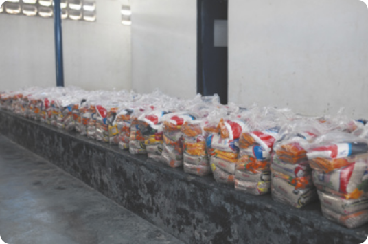 Fotografia de várias cestas básicas organizadas em fileiras sobre uma mesa de concreto. As cestas estão embaladas em sacos plásticos transparentes e, em cada pacote, contêm alimentos como arroz, feijão, macarrão e farinha.