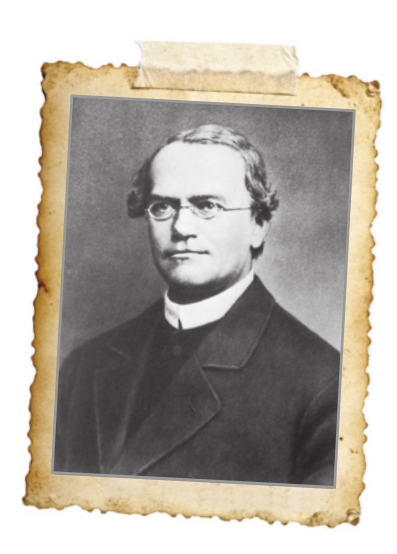 Fotografia em preto e branco de Gregor Mendel. Ele está sério, tem cabelos curtos, usa óculos e paletó. A imagem tem bordas desgastadas e envelhecidas.