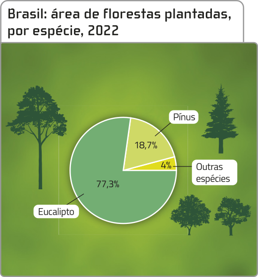 Gráfico de setores: 'Brasil: área de florestas plantadas por espécie, 2022', dividido em 3 setores. Os dados são os seguintes: eucalipto: 77,3 por cento; pínus: 18,7 por cento; outras espécies: 4 por cento.