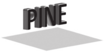 Imagem das mesmas letras P I N E, agora vistas em perspectiva. Abaixo delas, há uma área retangular demarcada, também vista em perspectiva.