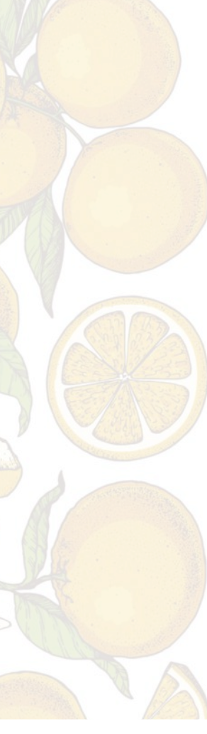 Imagem de laranjas.