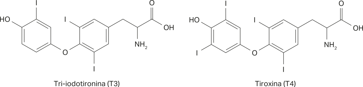 Imagem com fórmulas estruturais simplificadas de duas substâncias: Tri-iodotironina (T3): Dois anéis aromáticos ligados entre si por um O. Ligada ao segundo anel aromático há uma cadeia com três carbonos, onde o segundo carbono está ligado a um grupo N Híndice 2 e o terceiro a um grupo C O O H. O primeiro anel possui dois átomos de iodo, um grupo O H e um grupo C Híndice 3. O segundo anel possui duas ramificações com um átomo de I. Tiroxina (T4): Estrutura semelhante à da T3, agora com mais um átomo de I ligado ao primeiro anel aromático.