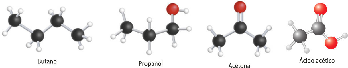 Imagem de quatro moléculas com seus átomos representados por esferas. As moléculas são: butano, propanol, acetona e ácido acético.
