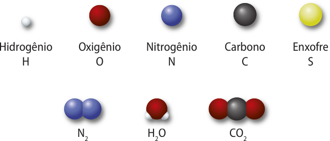 Imagem de representação de átomos e moléculas acompanhado de suas nomenclaturas. São eles: Hidrogênio; H; representado por uma esfera; Oxigênio; O; representado por uma esfera; Nitrogênio; N, representado por uma esfera; Carbono; C; representado por uma esfera; Níndice 2; representado por duas esferas idênticas unidas; Híndice 2 O; representado por uma esfera central conectada a duas esferas menores, uma de cada lado; C Oíndice 2; representado por uma esfera central conectada a duas outras esferas de mesmo tamanho, uma de cada lado.