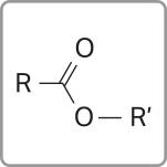Imagem de fórmula estrutural simplificada com um carbono fazendo ligação dupla com um oxigênio e ligações simples com um radical R e com um oxigênio, que por sua vez faz ligação simples com um radical R linha.