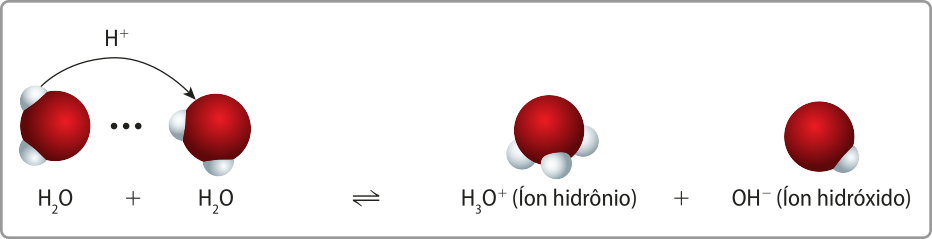 Esquema de uma equação química. As moléculas estão representadas por esferas unidas. Temos: Híndice 2 O mais Híndice 2 O seta de equilíbrio Híndice 3 O^+ (íon hidrônio) mais O H^− (íon hidróxido). Uma seta, entre as duas moléculas de água, indica a transferência de um H^+ de uma molécula para a outra.