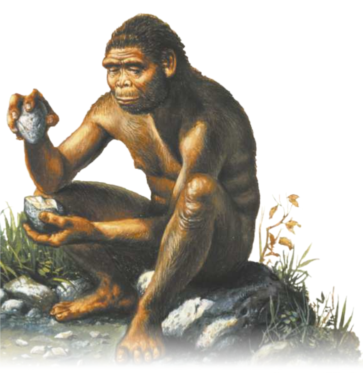 Ilustração de um hominídeo com o corpo coberto por pelos e aparência semelhante à de um ser humano. Ele segura duas pedras nas mãos; uma delas é pontiaguda e está posicionada sobre a outra.