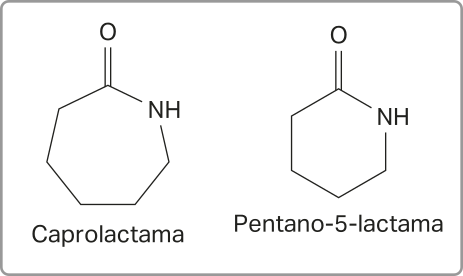 Imagem de fórmulas estruturais simplificadas de duas substâncias: Caprolactama: Cadeia fechada com 6 carbonos e um N H. Um dos carbonos adjacentes ao grupo N H faz ligação dupla com um O. Pentano-5-lactama: Cadeia fechada com 5 carbonos e um N H. Um dos carbonos adjacentes ao grupo N H faz ligação dupla com um O.