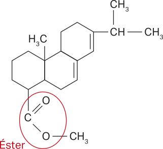 Imagem de fórmula estrutural simplificada de uma molécula com 3 cadeias fechadas de 6 carbonos, com 4 ramificações, que são: um grupo Híndice 3C, um grupo C O C Híndice 3, estando C ligado a um O por dupla ligação, e um C H ligado a dois Cmolécula de hidrogênio com 3 átomos. O trecho onde C se liga a um O por dupla ligação e a outro O por ligação simples está circulado e nomeado como éster.